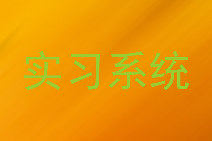 实习系统