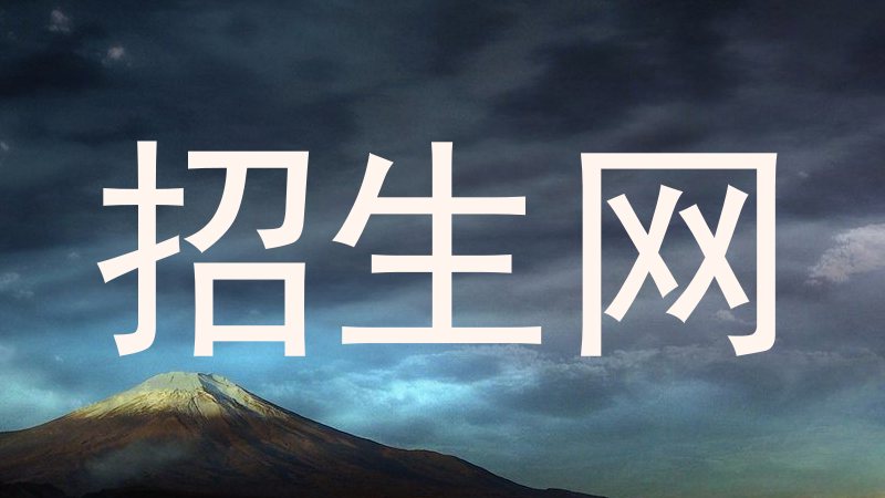招生网