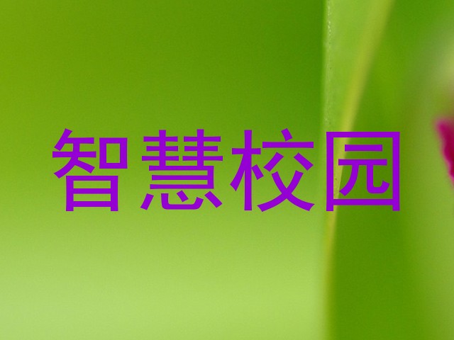 智慧校园