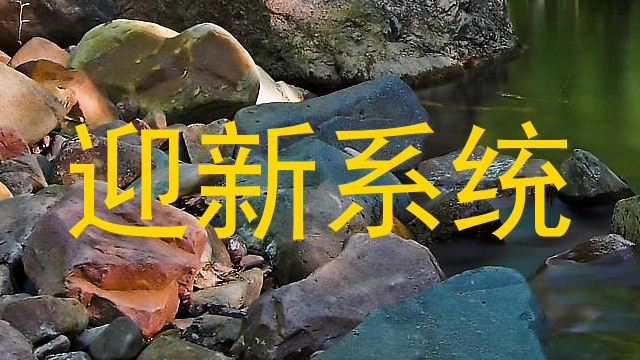 迎新系统