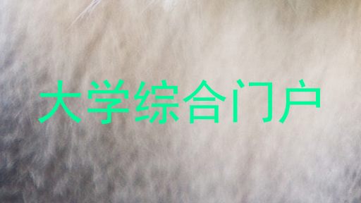 大学综合门户