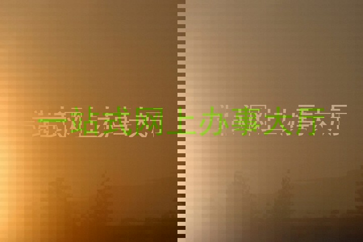 一站式网上办事大厅