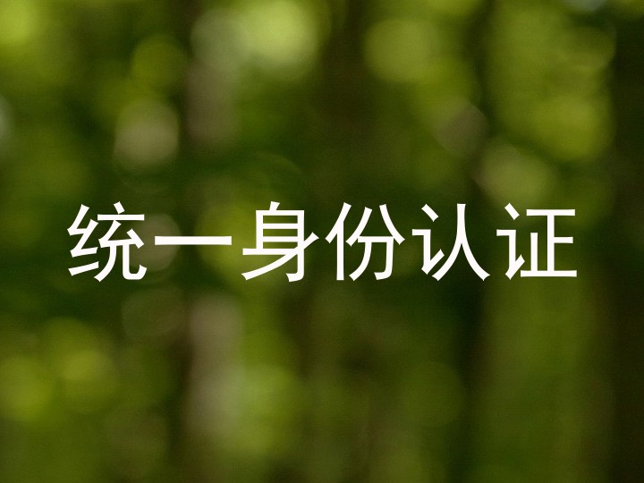 统一身份认证