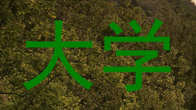 大学