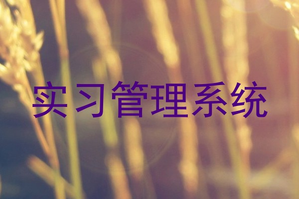 实习管理系统