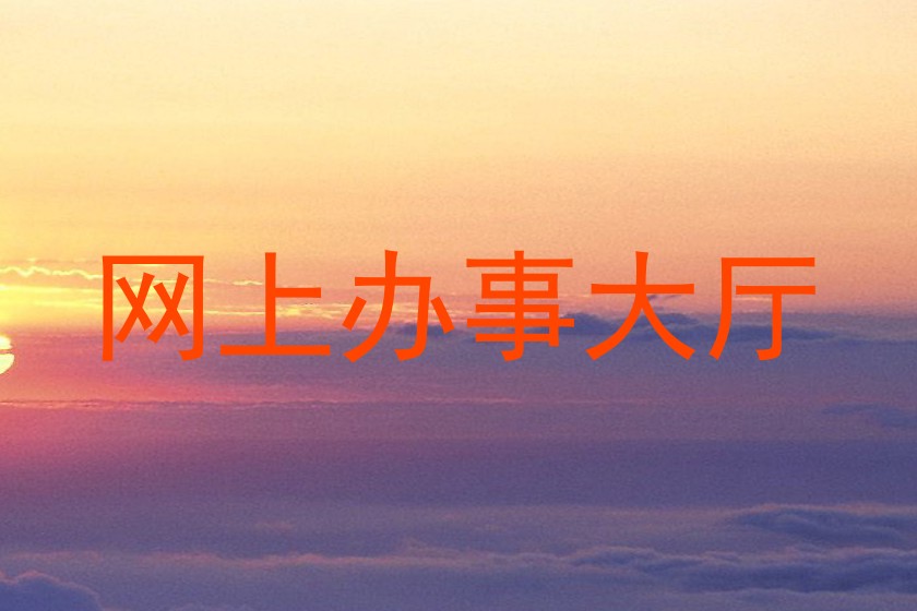 网上办事大厅