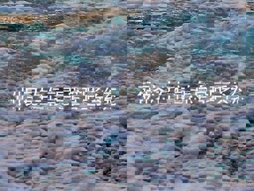 研究生信息管理系统
