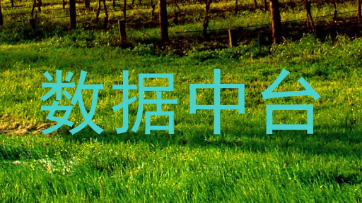 数据中台
