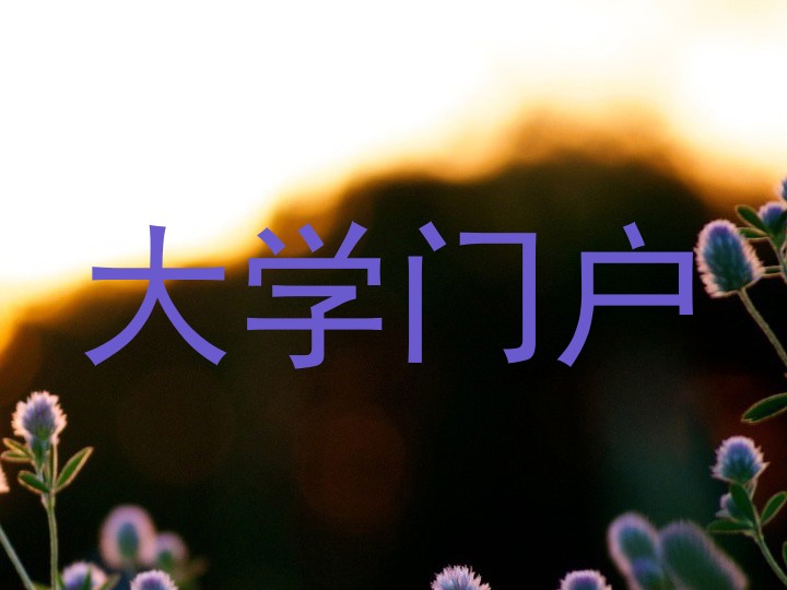 大学门户