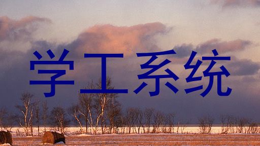 学工系统