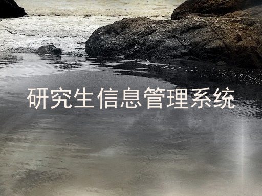 研究生信息管理系统