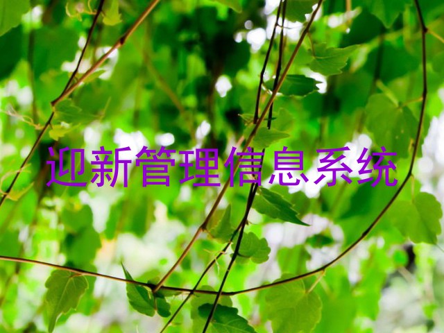 迎新管理信息系统