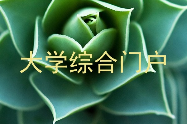 大学综合门户