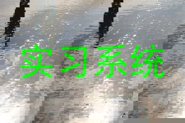 实习系统