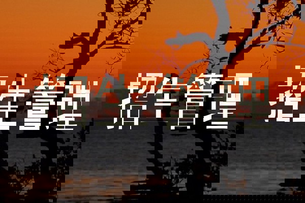 招生管理