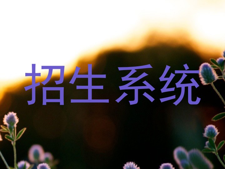招生系统