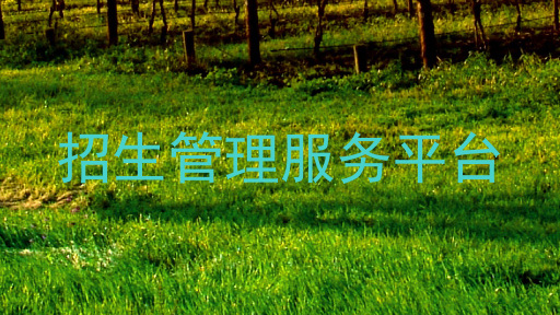 招生管理服务平台