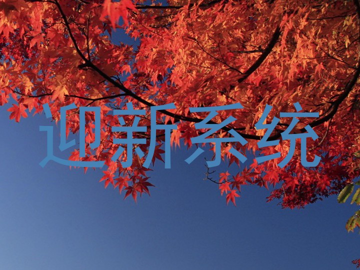 迎新系统