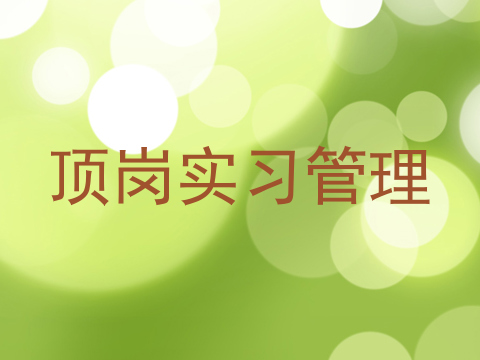 顶岗实习管理