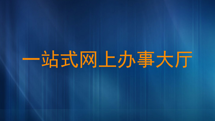 一站式网上办事大厅