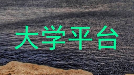 大学平台