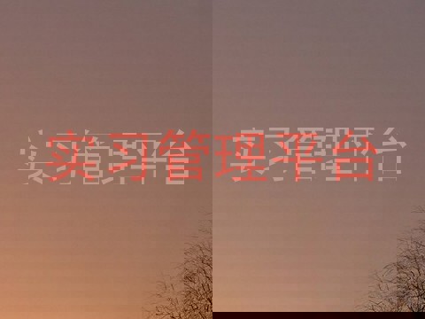 实习管理平台