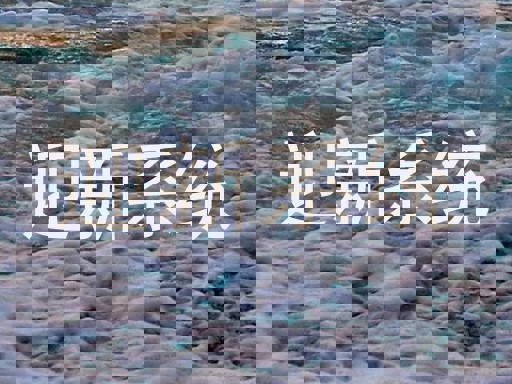 迎新系统