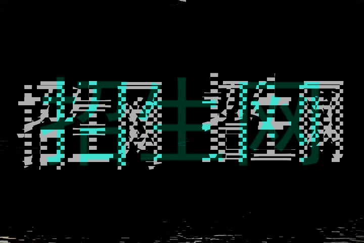 招生网