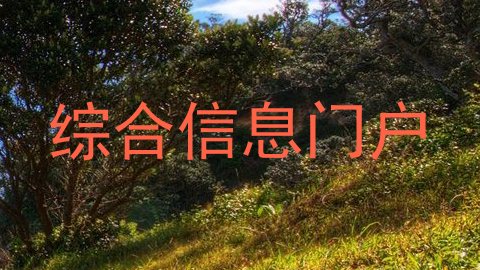 综合信息门户