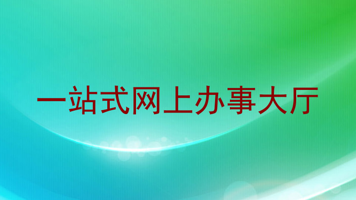 一站式网上办事大厅
