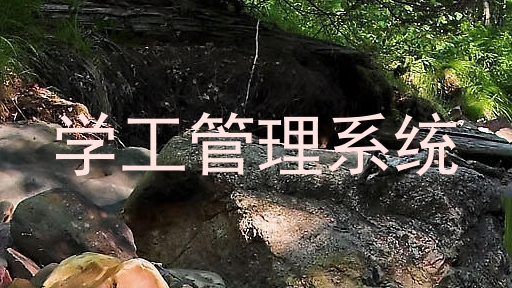 学工管理系统