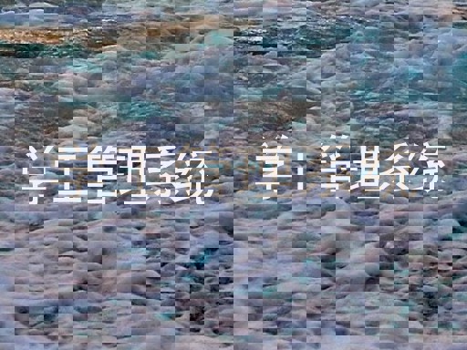 学工管理系统