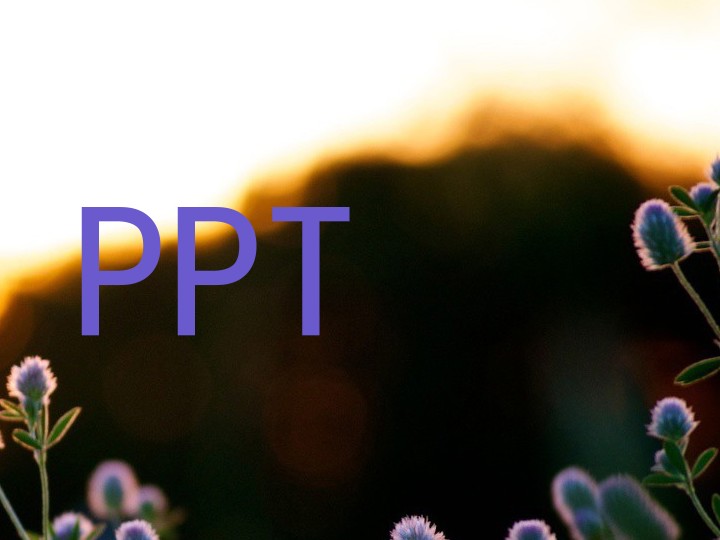 PPT