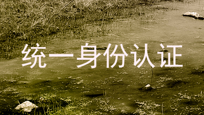 统一身份认证