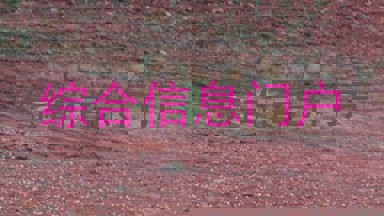 综合信息门户