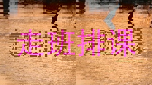 走班排课
