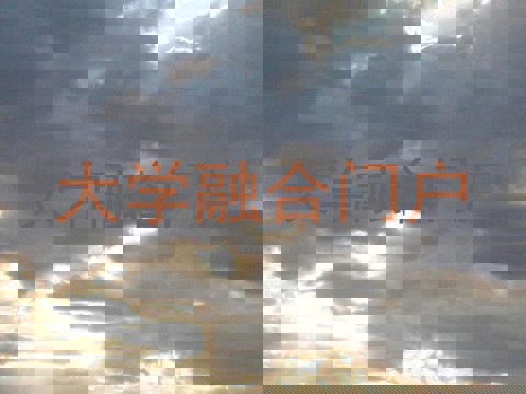 大学融合门户