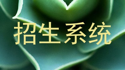 招生系统