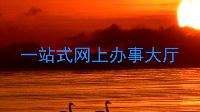 一站式网上办事大厅