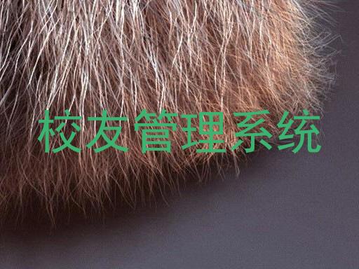 校友管理系统