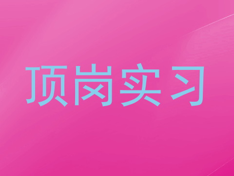 顶岗实习