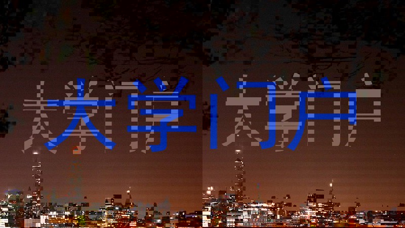 大学门户
