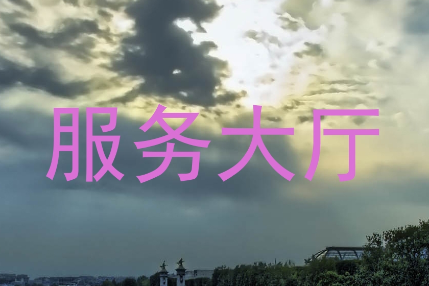服务大厅