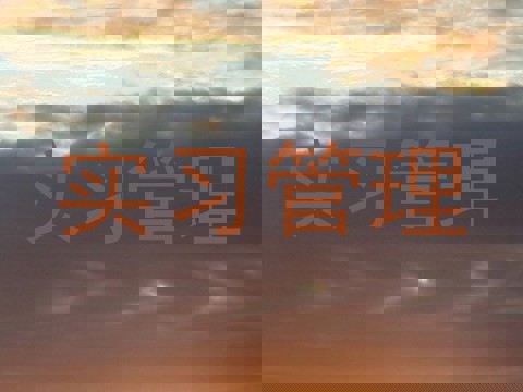 实习管理