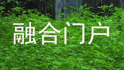 融合门户