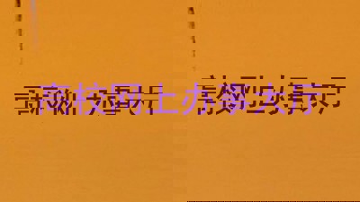 高校网上办事大厅