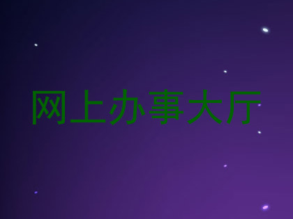 网上办事大厅