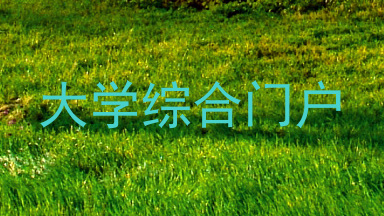 大学综合门户