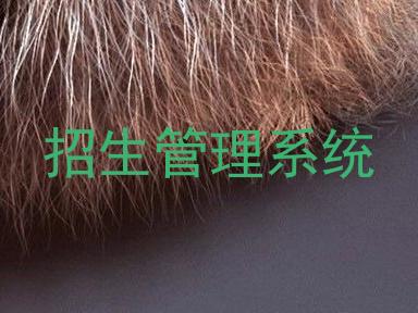 招生管理系统