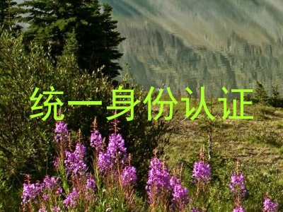统一身份认证